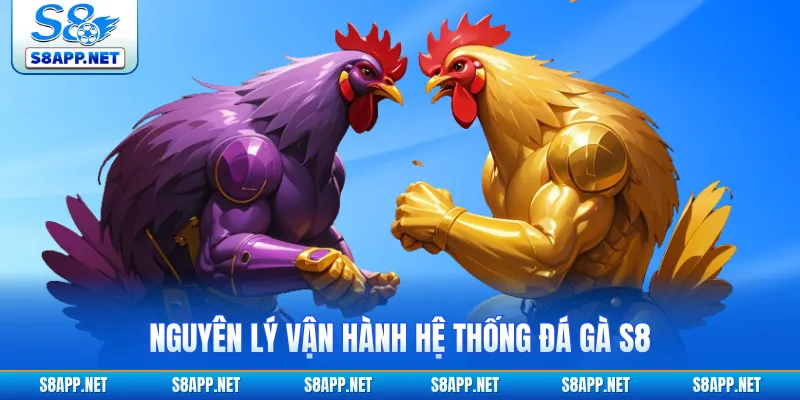 Nguyên lý vận hành hệ thống đá gà S8 